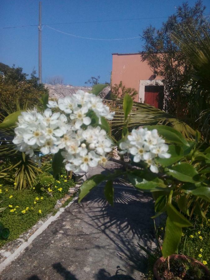 Secret Garden Villa Giovinazzo Exterior photo